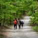 walk-8724340_640